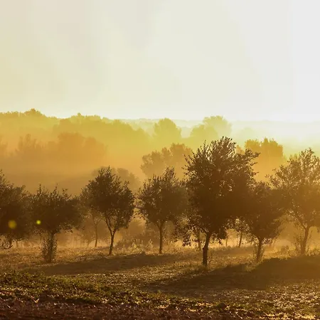 Son Mestres De Baix Villa *