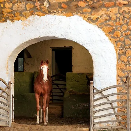Villa Son Mestres De Baix *