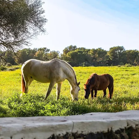 Son Mestres De Baix Villa *