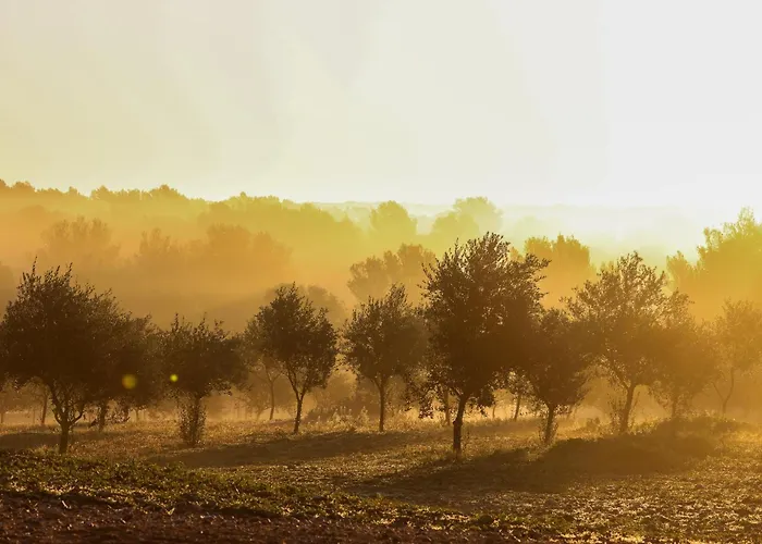 Son Mestres De Baix 빌라 *