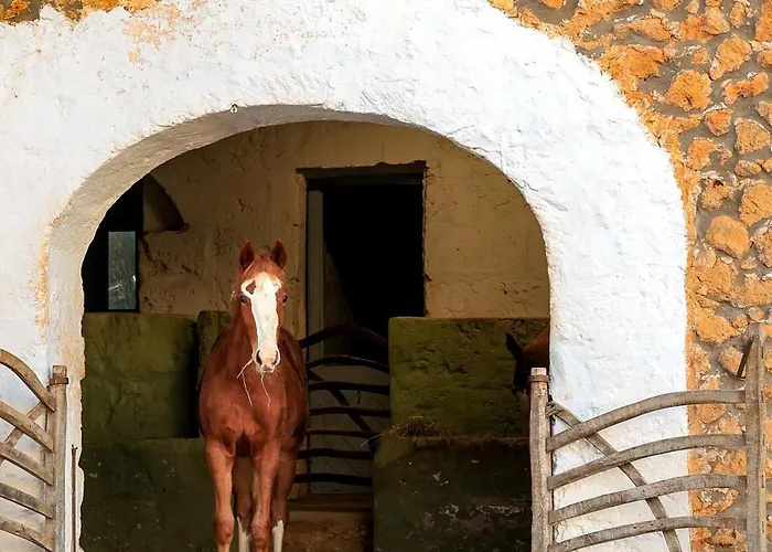 Villa Son Mestres De Baix *