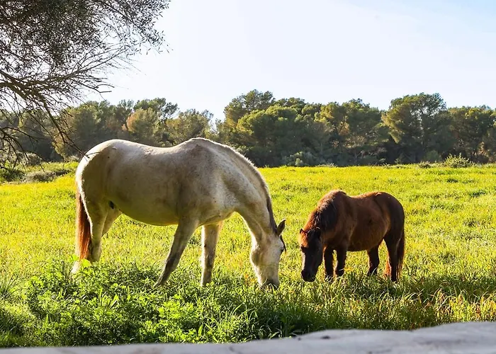 Son Mestres De Baix 빌라 *