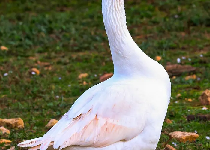 Son Mestres De Baix Villa Cala Galdana (Menorca)